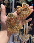 Turkish Mala Set
